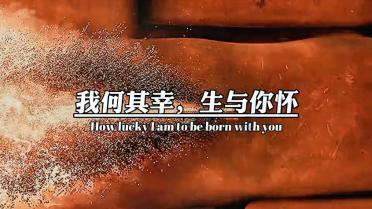 超三国无双2