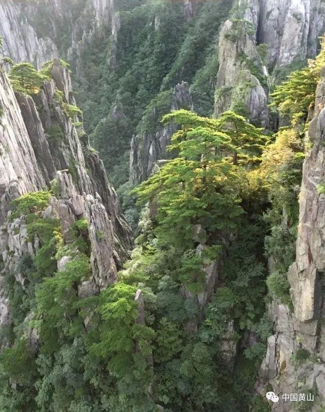 【两会@你】黑龙江省政协委员刘军龙:集聚优质资源 推进职业教育服务振兴发展