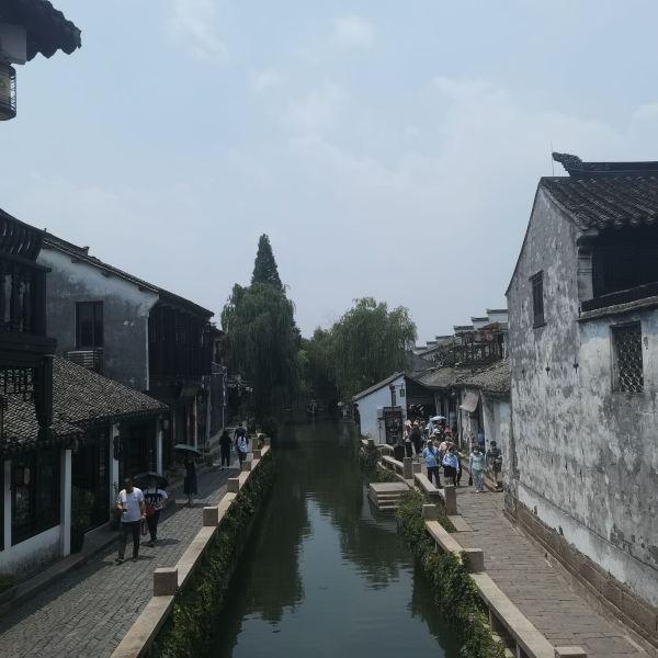 拯救可爱小浣熊